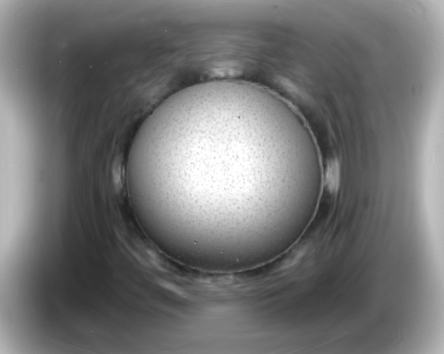 X0000086051444200704091200