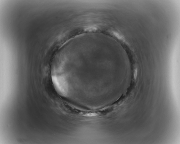 X0000086051445200704091200