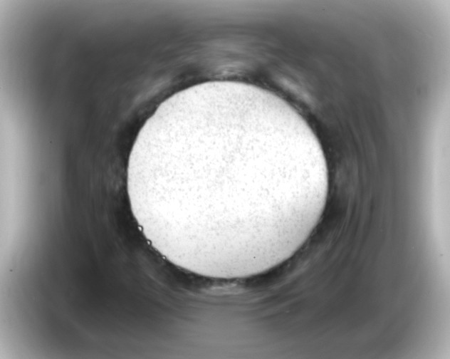 X0000086051447200704091200