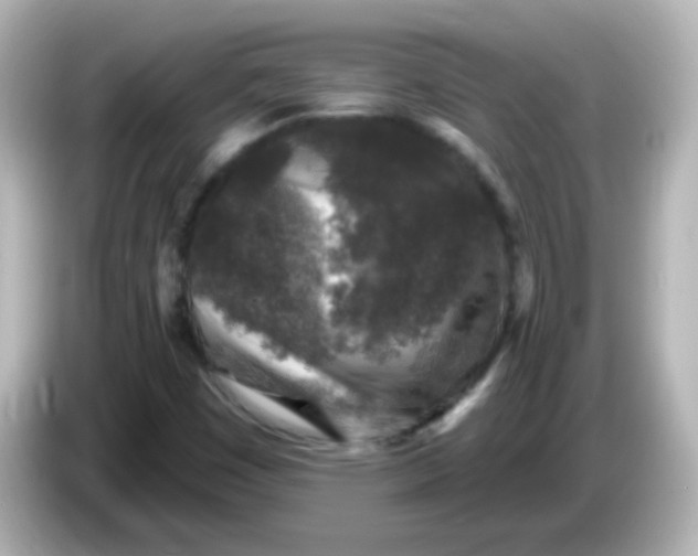X0000086051449200704091200