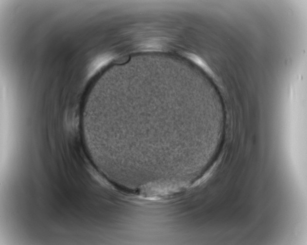 X0000086051450200704091200