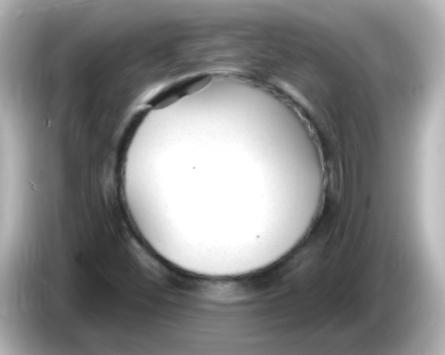 X0000086051452200704091200
