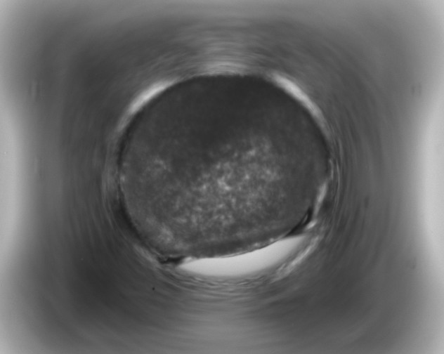 X0000086051453200704091200