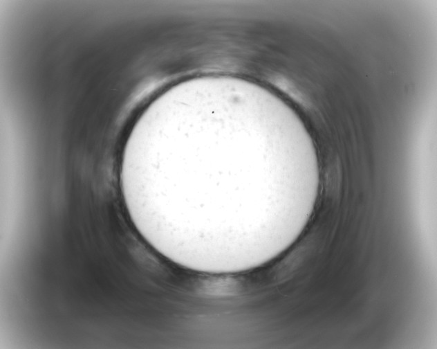 X0000086051454200704091200