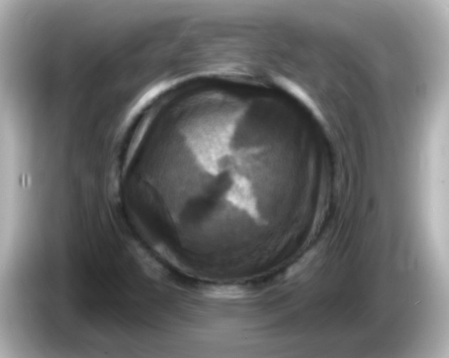 X0000086051455200704091200