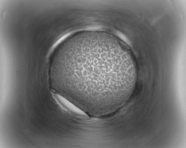 X0000086051456200704091200