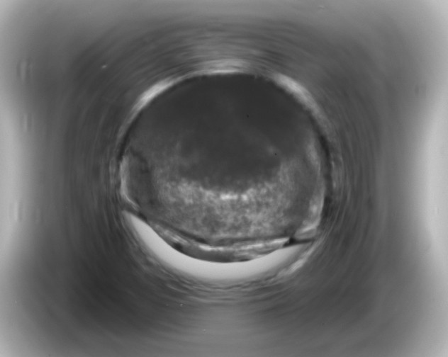 X0000086051457200704091200