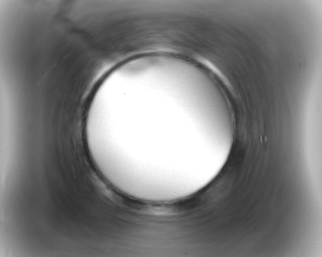 X0000086051460200704091200
