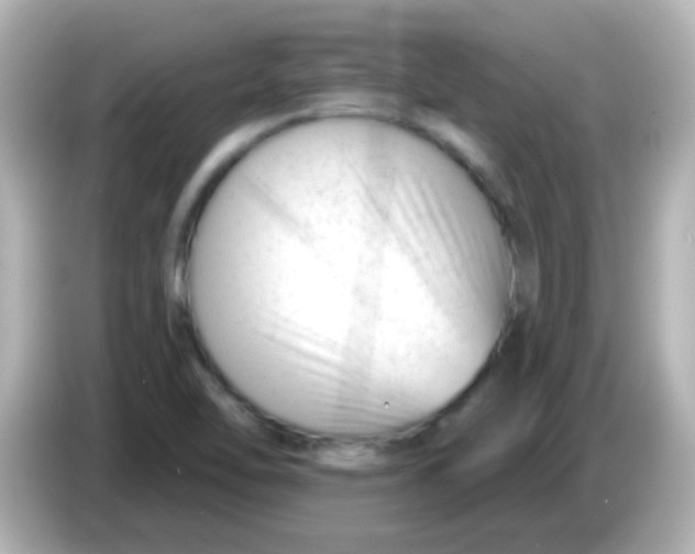 X0000086051462200704091200