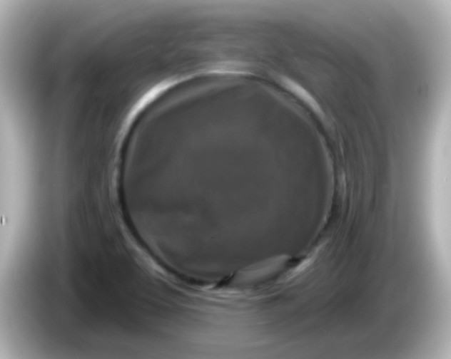 X0000086051463200704091200