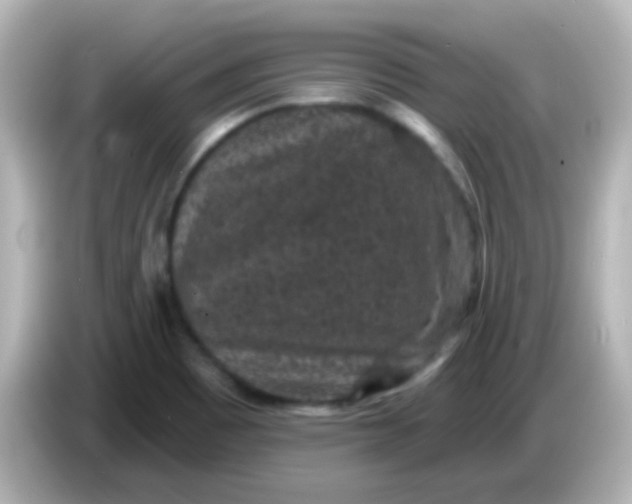 X0000086051465200704091200
