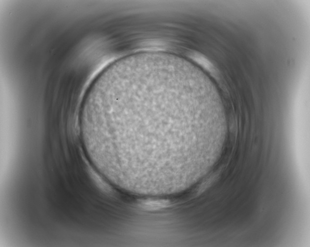 X0000086051466200704091200