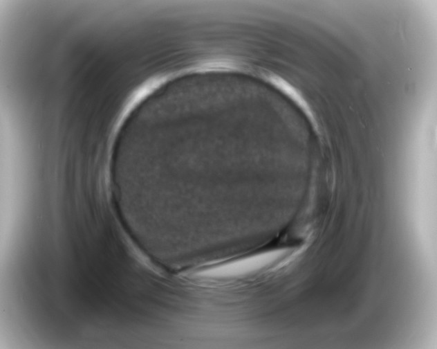 X0000086051469200704091200