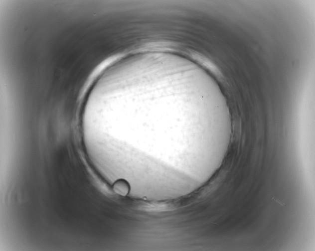 X0000086051470200704091200