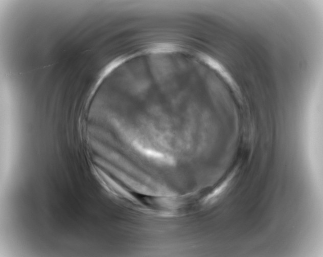 X0000086051473200704091200