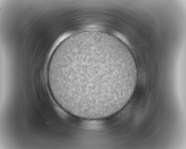 X0000086051474200704091200