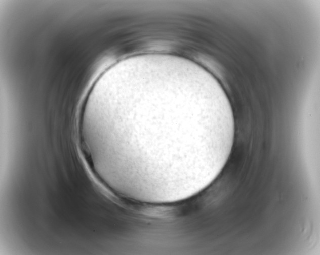 X0000086051475200704091200