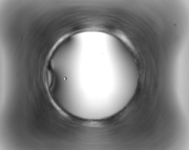 X0000086051476200704091200