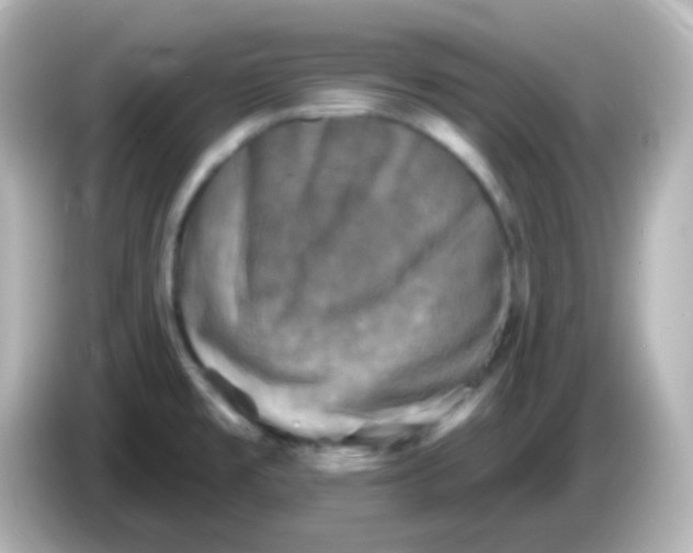 X0000086051477200704091200