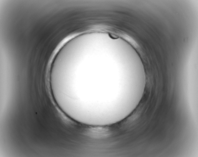 X0000086051478200704091200