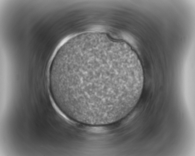 X0000086051479200704091200