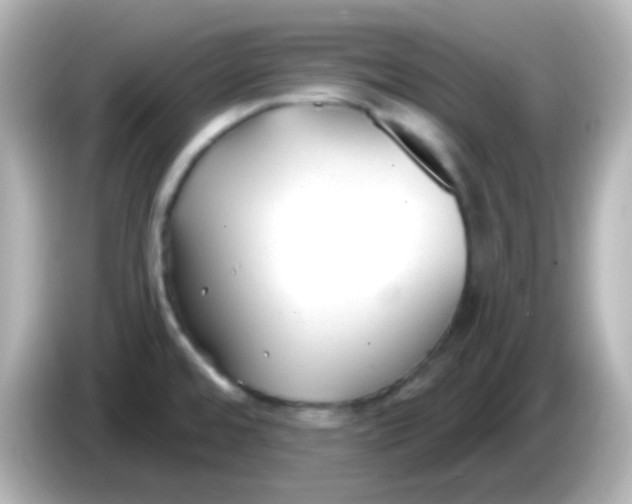 X0000086051480200704091200