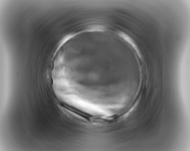 X0000086051481200704091200