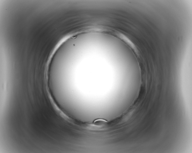 X0000086051483200704091200
