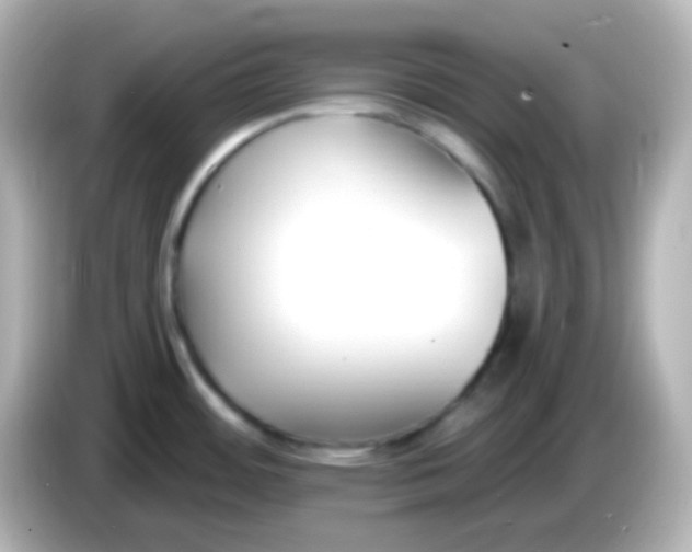 X0000086051484200704091200