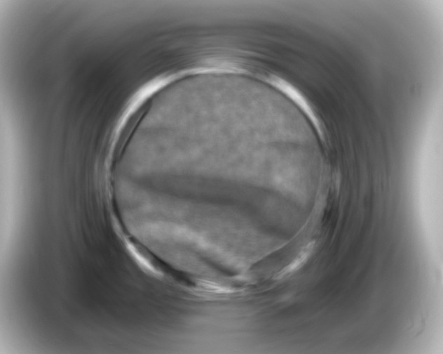 X0000086051485200704091200