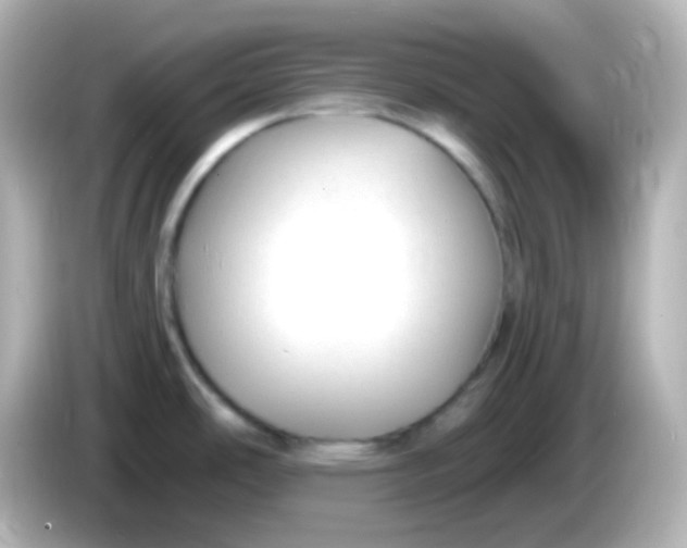 X0000086051486200704091200