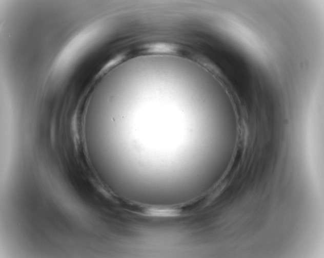 X0000086051487200704091200