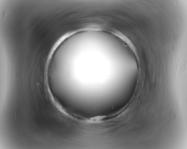 X0000086051488200704091200