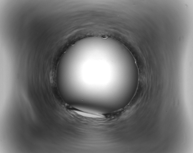 X0000086051490200704091159