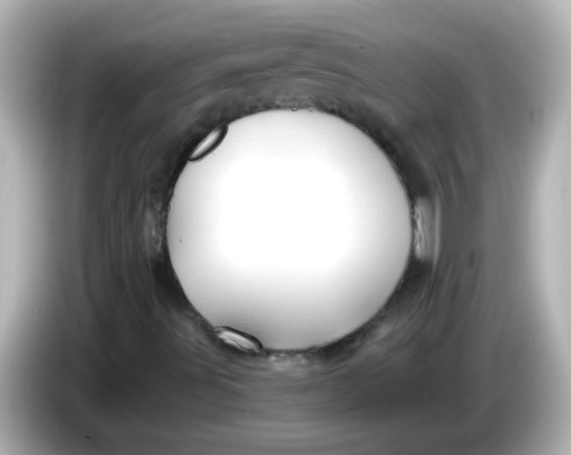 X0000086051491200704091159