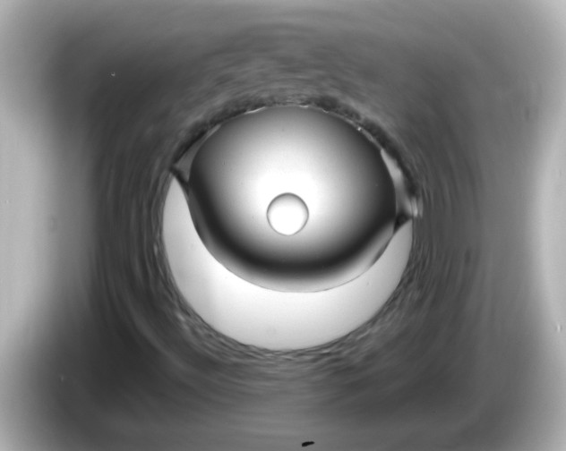 X0000086051492200704091159