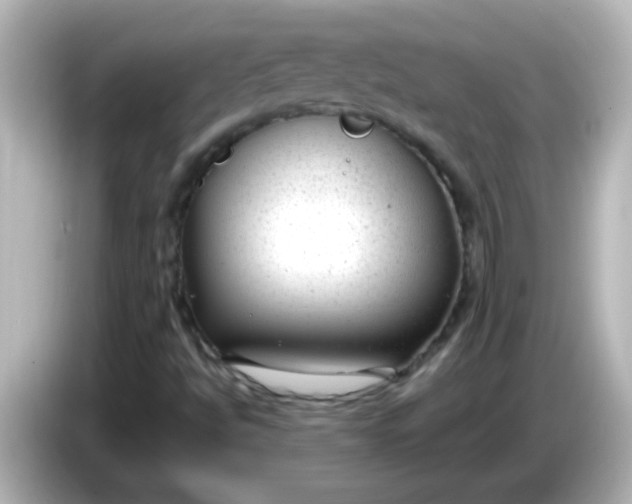 X0000086051494200704091159