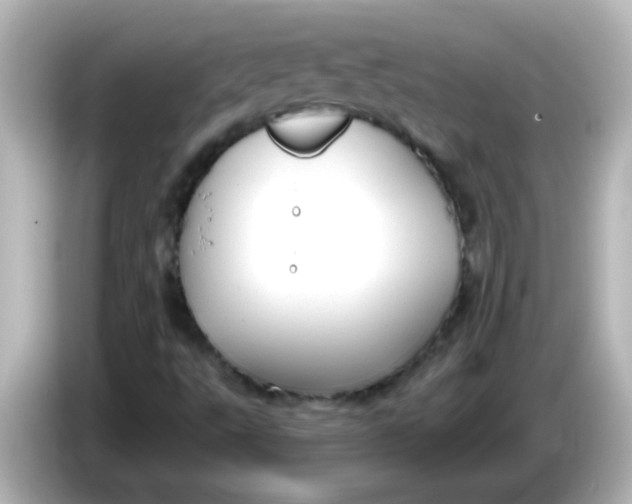 X0000086051495200704091159