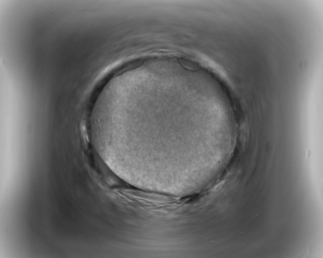 X0000086051496200704091159