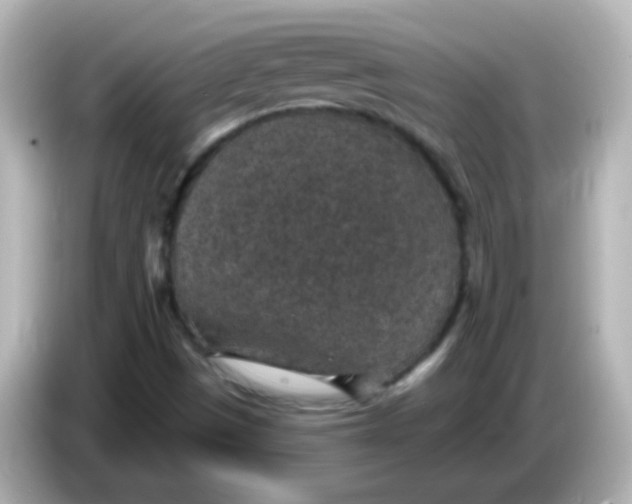 X0000086051497200704091159