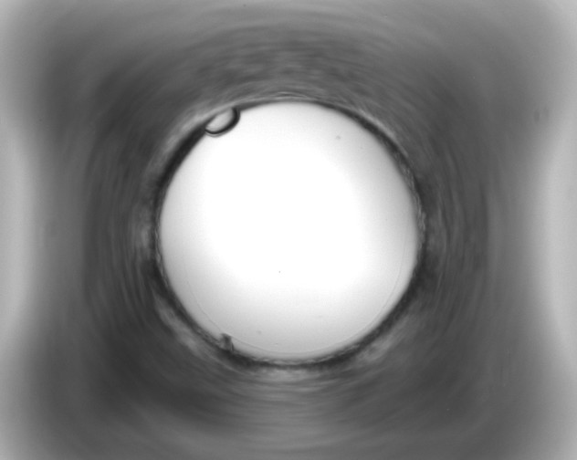 X0000086051499200704091159
