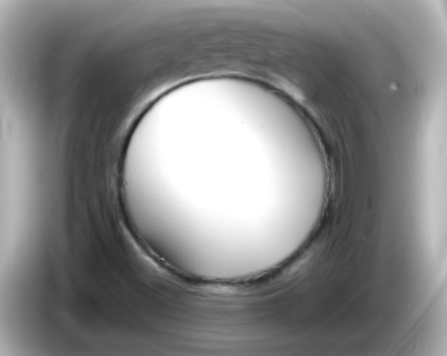 X0000086051500200704091159