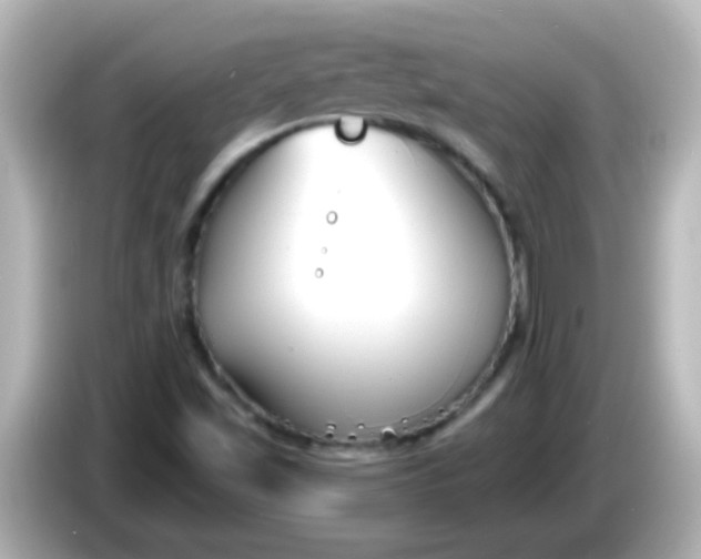 X0000086051501200704091159