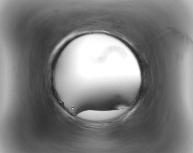 X0000086051502200704091159