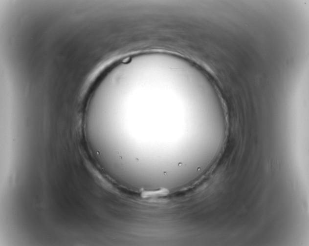 X0000086051503200704091159
