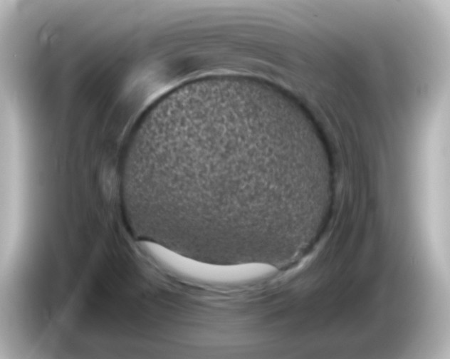 X0000086051505200704091159