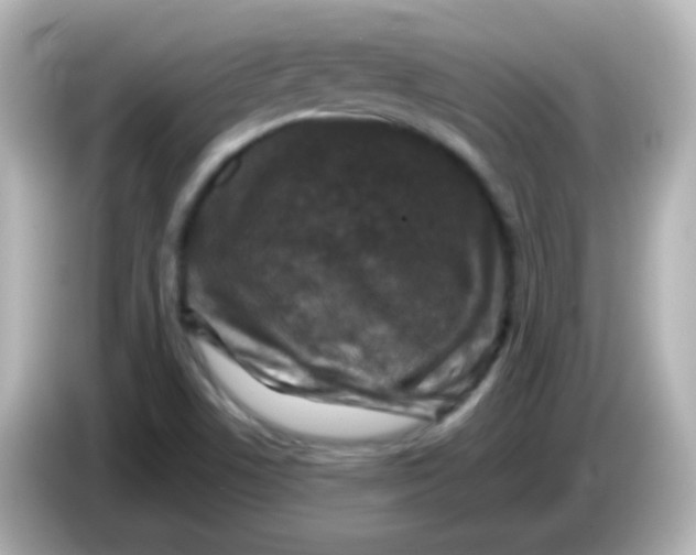 X0000086051506200704091159