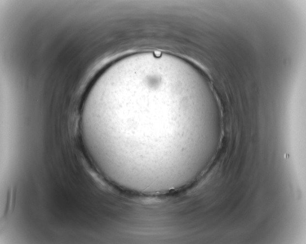 X0000086051507200704091159