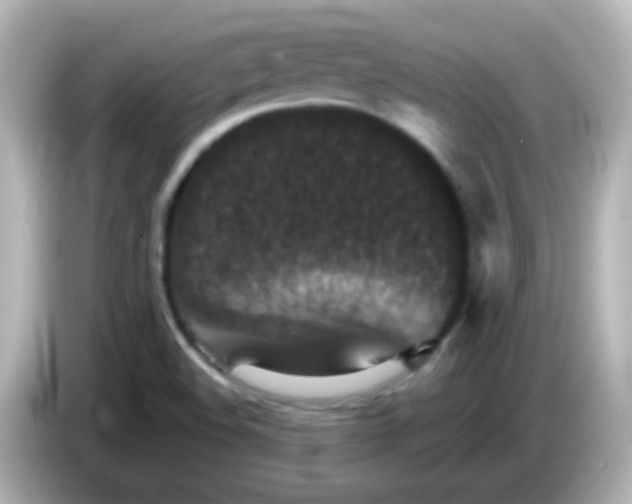 X0000086051508200704091159