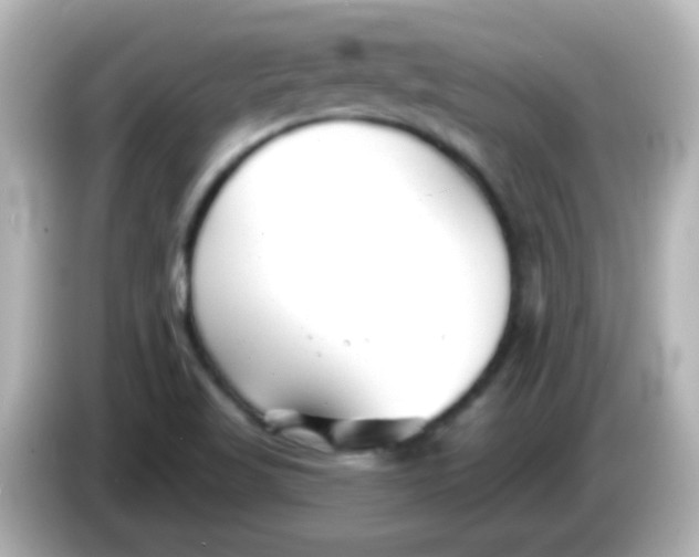 X0000086051509200704091159